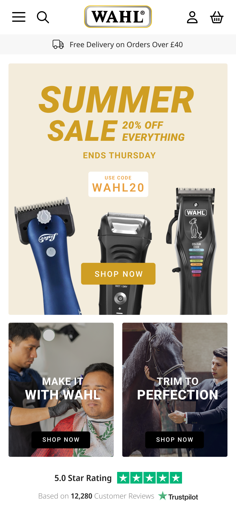 Wahl Homepage after